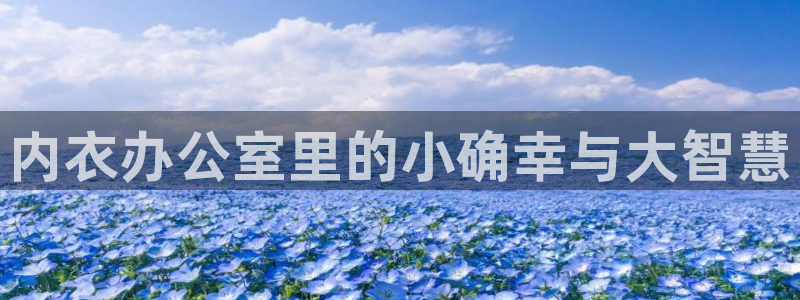 3d里番动漫在线播放：内衣办公室里的小确幸与大智慧