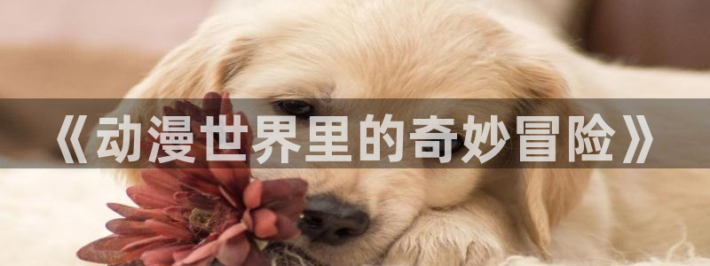 里番动漫是什么：《动漫世界里的奇妙冒险》