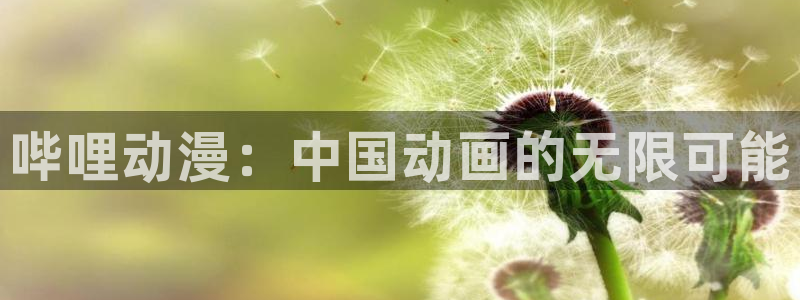 推荐的里番动漫：哔哩动漫：中国动画的无限可能